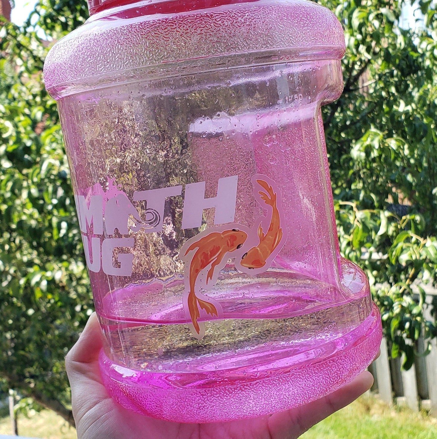 Koi Fish Vinyl Sticker (Transparent)