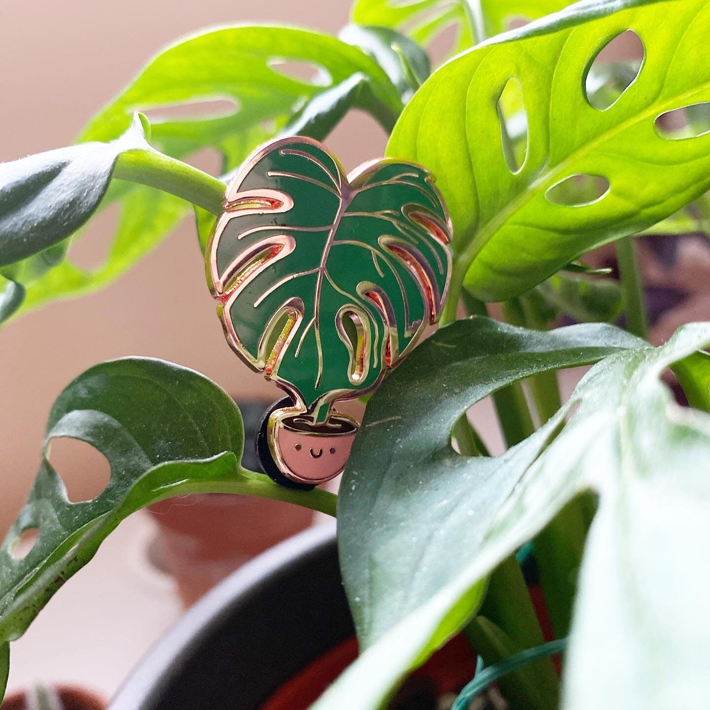 Monstera Cuppa Rose Gold Hard Enamel Pin (Pink Cup)