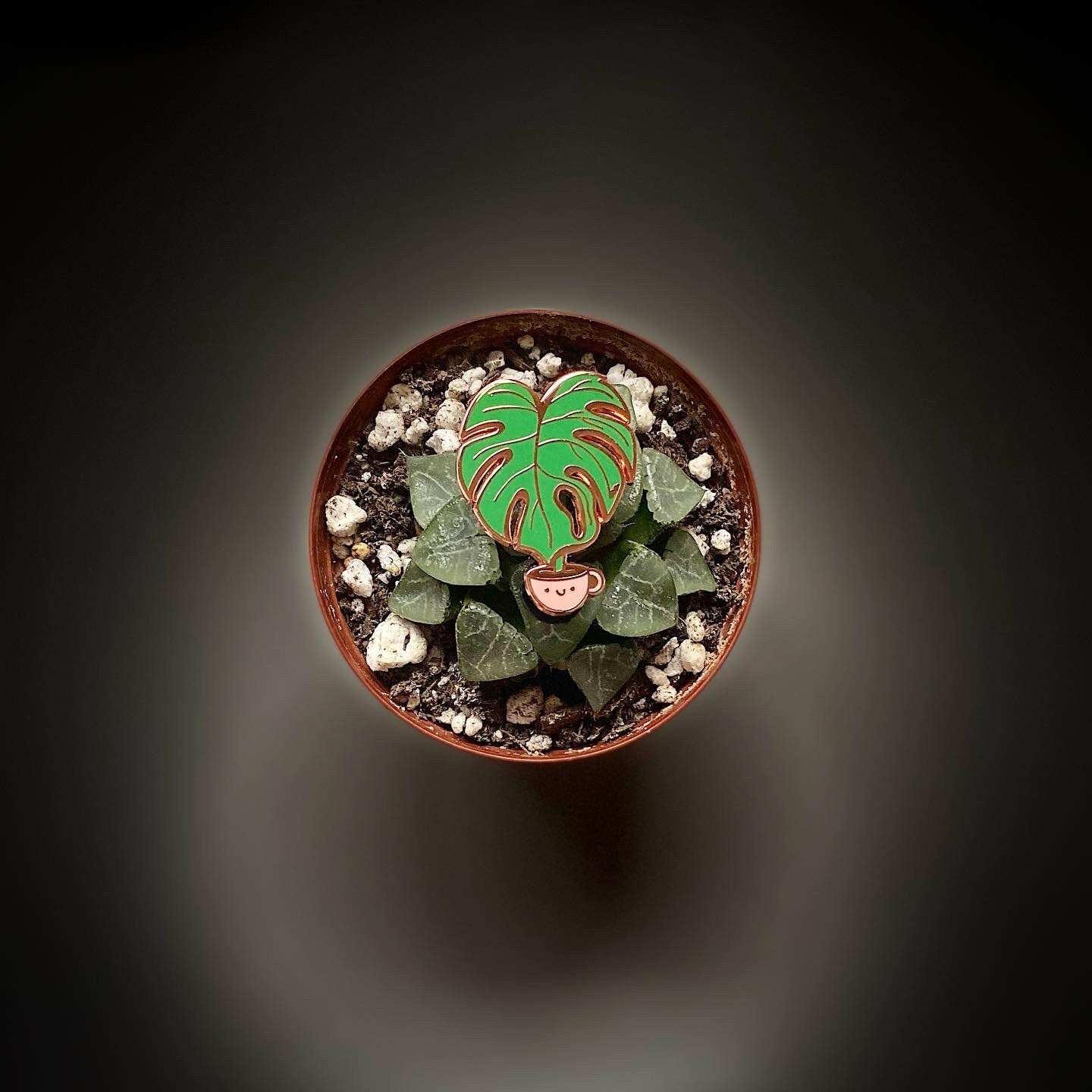 Monstera Cuppa Rose Gold Hard Enamel Pin (Pink Cup)
