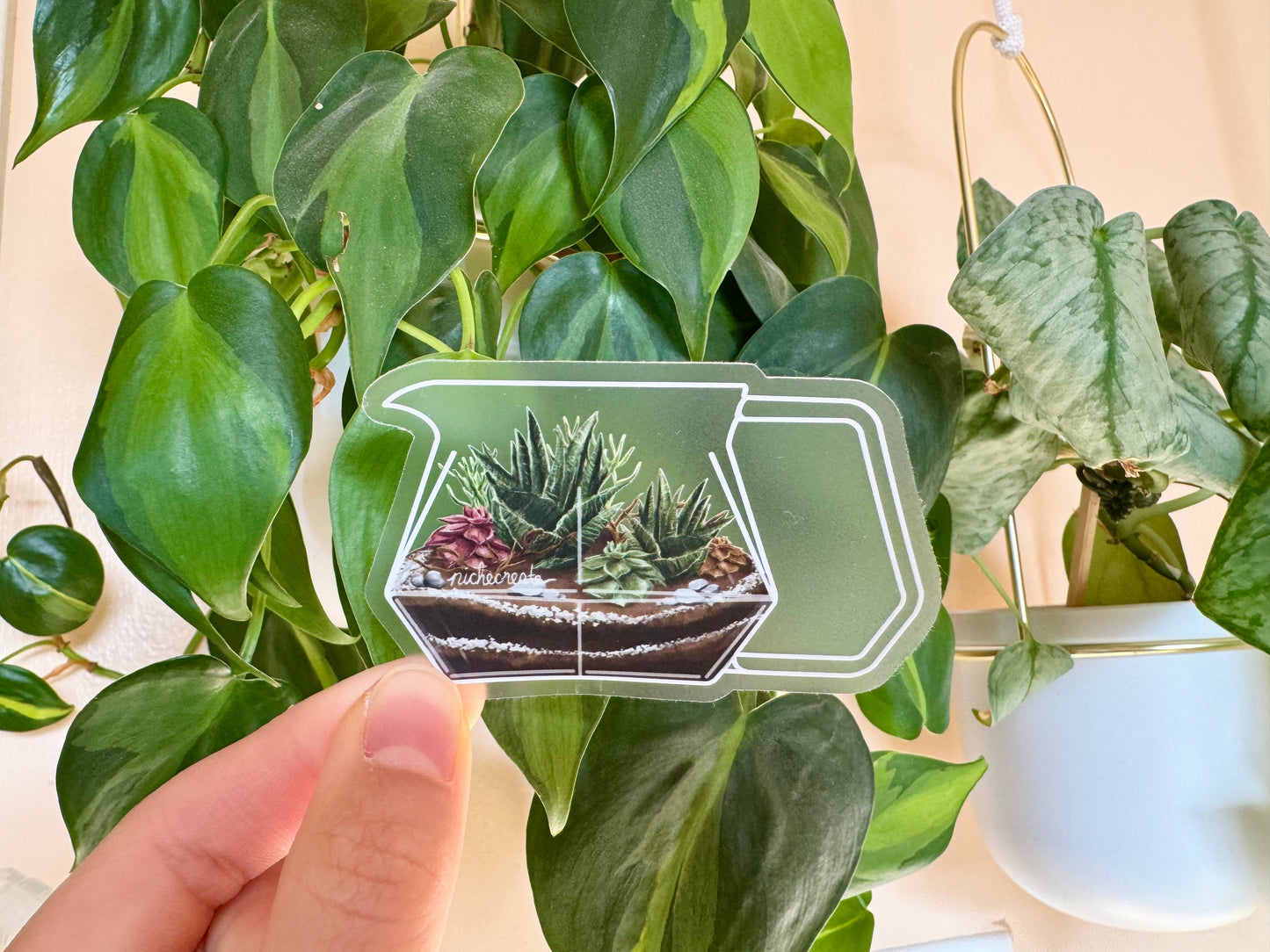 Succulent Carafe Plant Coffee Vinyl Stickers (Transparent)