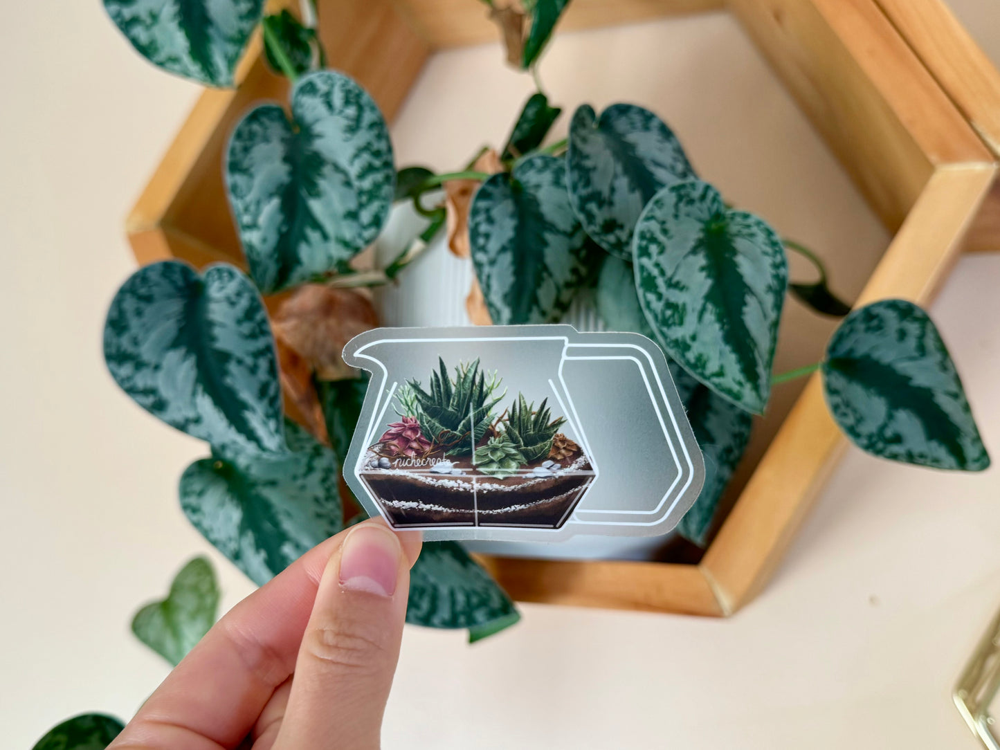 Succulent Carafe Plant Coffee Vinyl Stickers (Transparent)