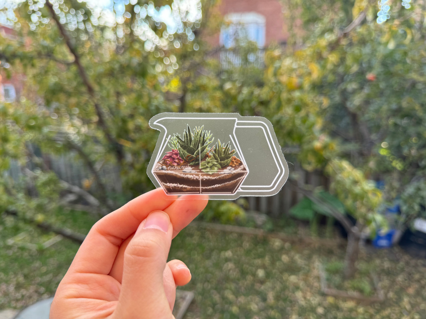 Succulent Carafe Plant Coffee Vinyl Stickers (Transparent)